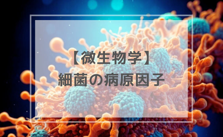 細菌の病原因子（計5問）｜微生物学【歯科医師国家試験】 | DENTAL YOUTH