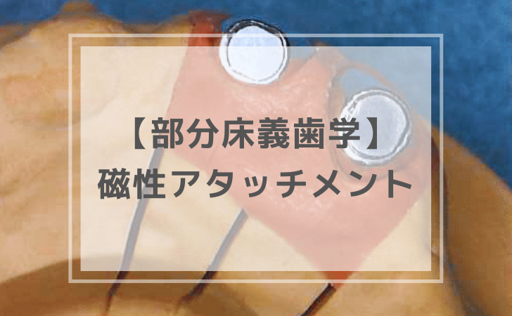 jj 断捨離中　①③ jj 断捨離中様 専用 ①③ 【公式通販】