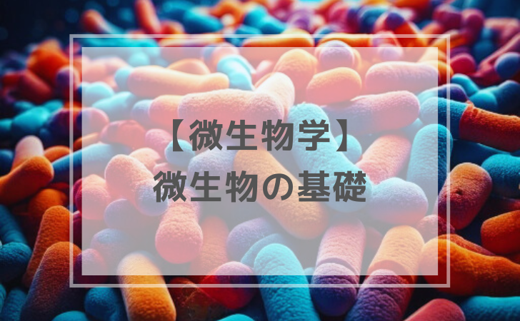 微生物学：微生物の基礎（計4問）【歯科医師国家試験】（2025年12月23