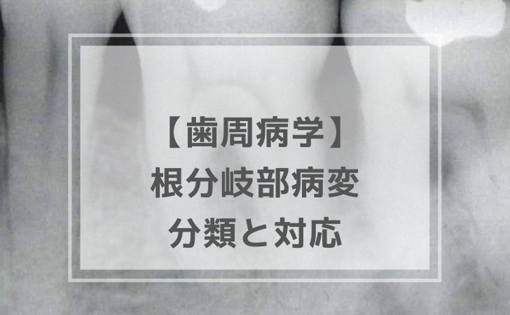 歯周病学：根分岐部病変の治療（計7問）【歯科医師国家試験】（2025年