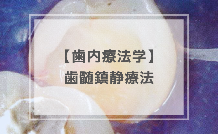 歯内療法学：歯髄鎮静療法（計4問）【歯科医師国家試験】（2025年10月