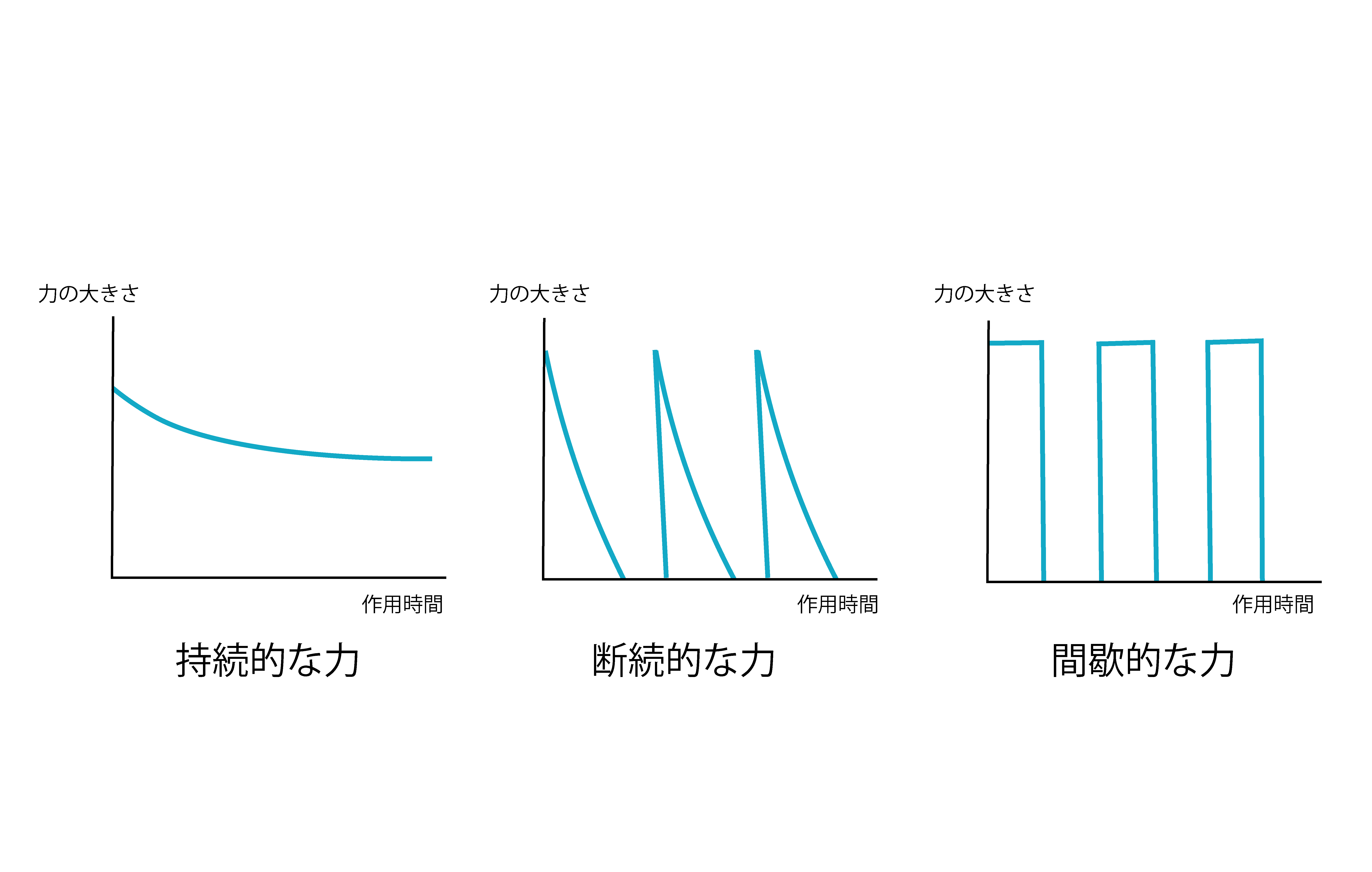 歯科矯正学】矯正力の作用様式 | DENTAL YOUTH
