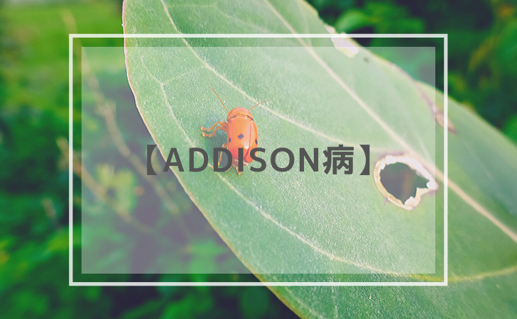 Addison病（2019年11月29日更新）【口腔外科学】 | DENTAL YOUTH
