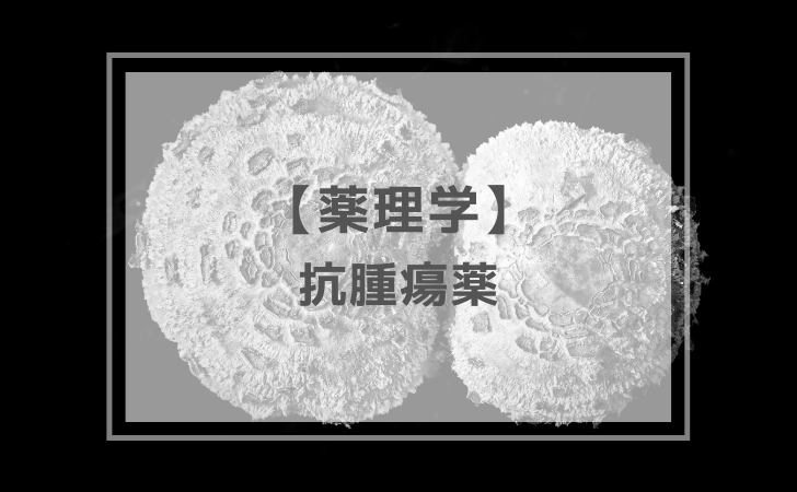 薬理学：抗腫瘍薬（計8問）【歯科医師国家試験】（2026年3月12日更新