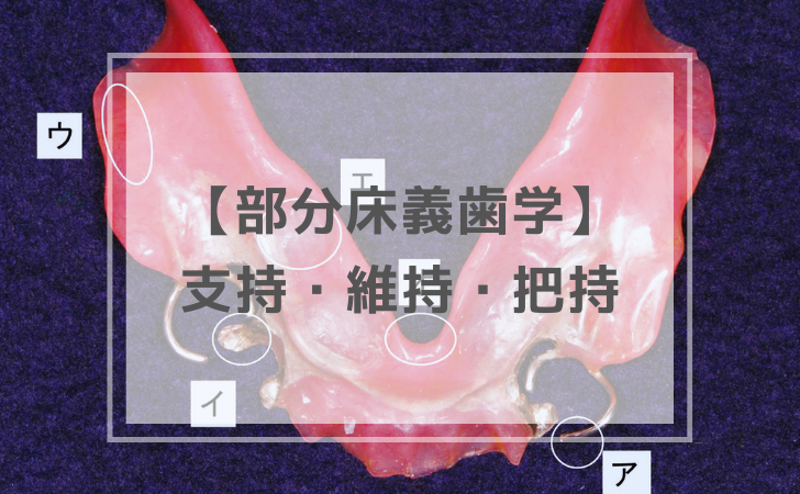 部分床義歯学：支持・維持・把持・リッジサポート（計5問）【歯科医師