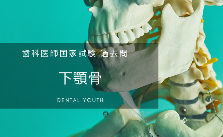 解剖学:下顎骨(計3問)【歯科医師国家試験】(2023年2月20日更新) | DENTAL YOUTH