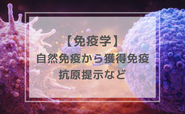 自然免疫から獲得免疫（計4問）｜免疫学【歯科医師国家試験】 | DENTAL