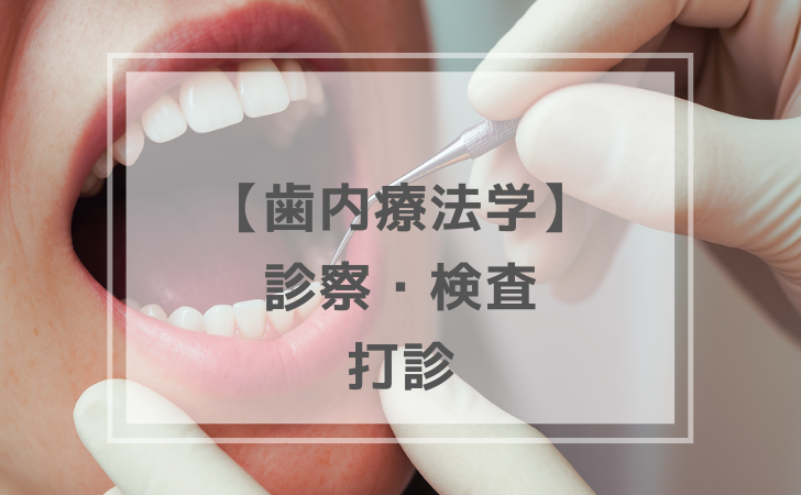 歯内療法学：打診（計2問）【歯科医師国家試験】（2025年10月17日更新