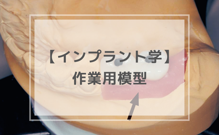 口腔インプラント学：作業用模型（計1問）【歯科医師国家試験】（2025