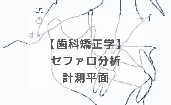 歯科矯正学：セファログラム分析 計測平面（計2問）【歯科医師国家試験