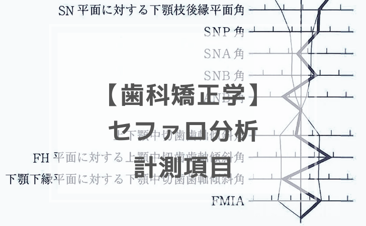 ロムニーハウス 歯科医師国家試験分析ノート 113回を覗くシリーズ2 (ロムニー配信から抜粋) : ロムニーハウス勉強