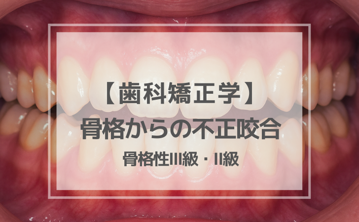 歯科矯正学：骨格からの不正咬合（計8問）【歯科医師国家試験】（2025
