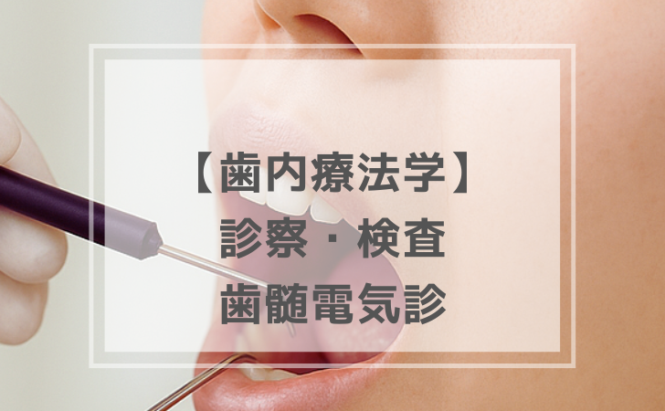 歯内療法学：歯髄電気診（計9問）【歯科医師国家試験】（2025年10月17