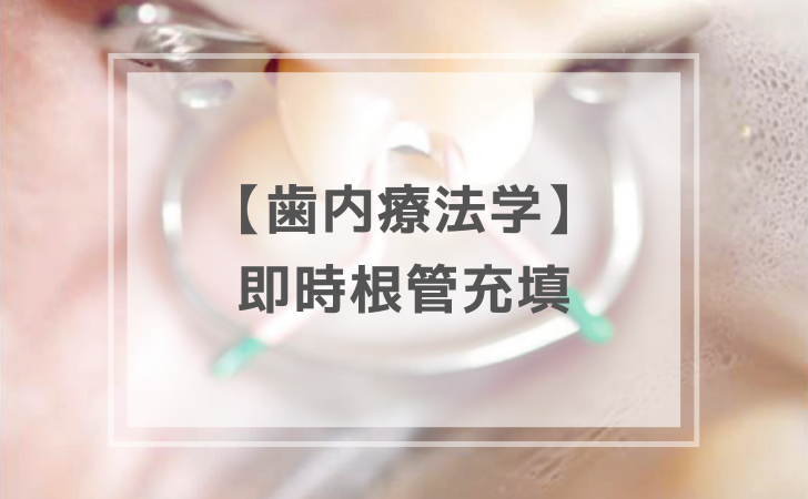 歯内療法学：即時根管充墳法（計1問）【歯科医師国家試験】（2025年10