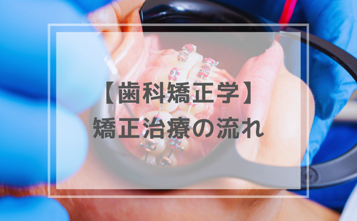 歯科医師国家試験対策　歯科矯正学　ゼミ　資料 歯科矯正学：矯正治療の流れ（計2問）【歯科医師国家試験】（2025年10