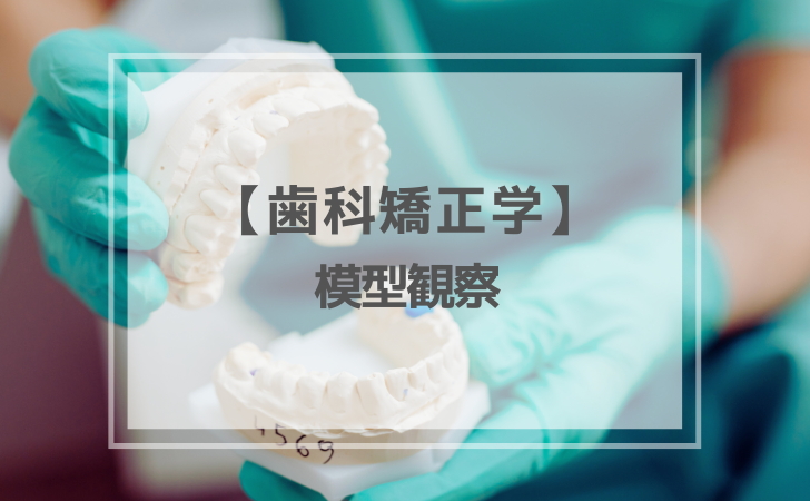 歯科矯正学：診断学〜 模型観察 〜（計2問）【歯科医師国家試験
