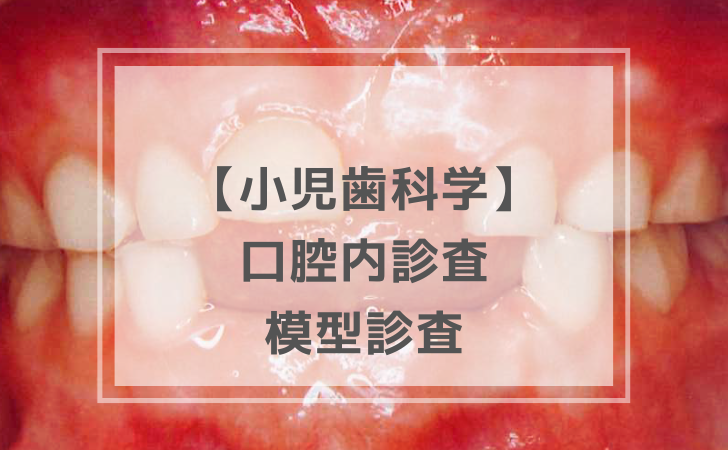 口の中に使ったことは1度もありません。模型のみです。 公式】オーラル
