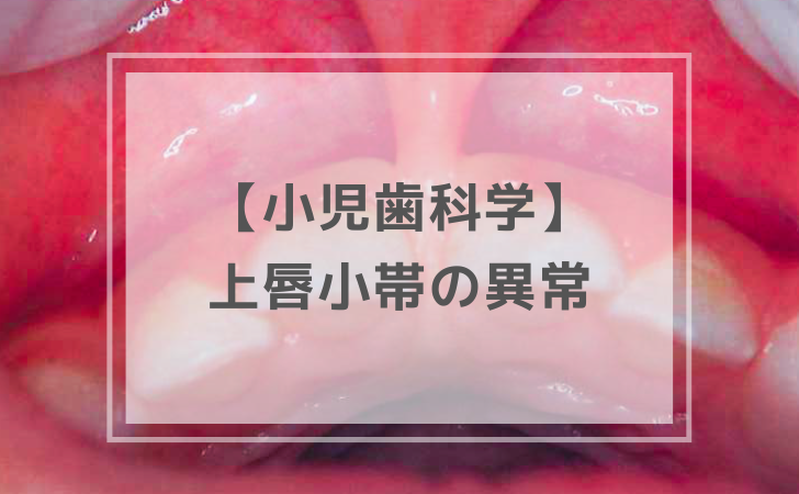 小児歯科学：上唇小帯の異常（計6問）【歯科医師国家試験】（2025年11