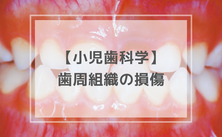 小児歯科学：歯周組織の損傷（計11問）【歯科医師国家試験】（2025年11