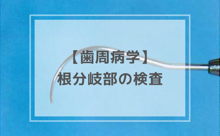 歯周病学：根分岐部の検査（計5問）【歯科医師国家試験】（2025年11月1