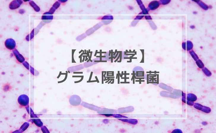 微生物学：グラム陽性球菌：炭疽菌・破傷風菌・結核（計9問）【歯科
