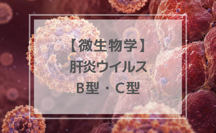 肝炎ウイルス（計6問）｜微生物学【歯科医師国家試験】 | DENTAL YOUTH