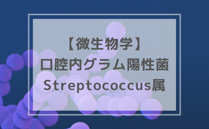 微生物学：Streptococcus属（計8問）【歯科医師国家試験】（2026年1月4