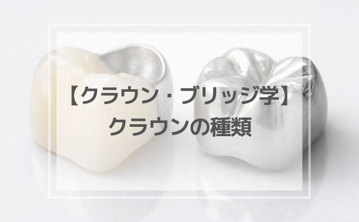 クラウン・ブリッジ学：クラウンの種類（計12問）【歯科医師国家試験