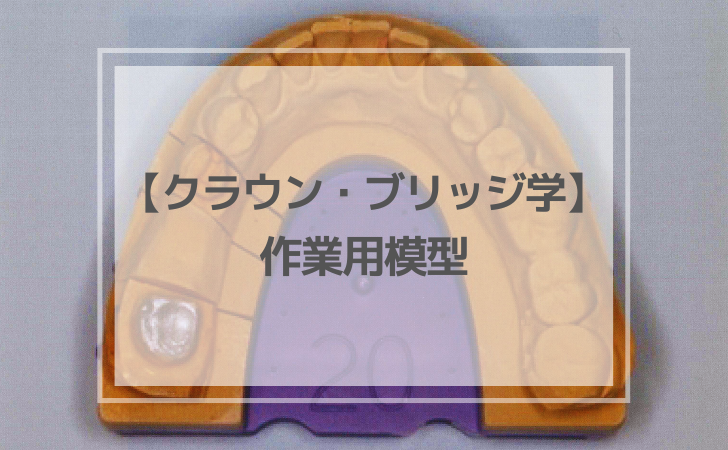 クラウン・ブリッジ学：作業用模型（計4問）【歯科医師国家試験