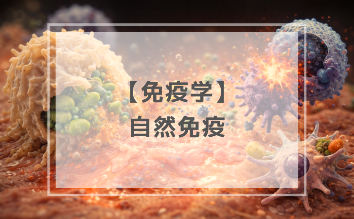 免疫学：自然免疫（計7問）【歯科医師国家試験】（2026年1月8日更新
