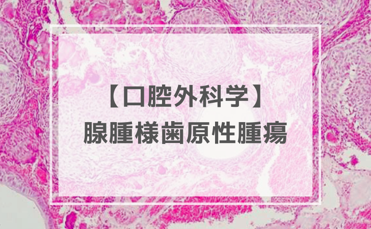 さささ-1-6.png
