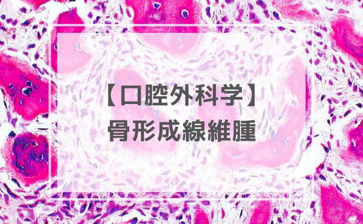 口腔外科学：骨形成線維腫（計7問）【歯科医師国家試験】（2026年1月21