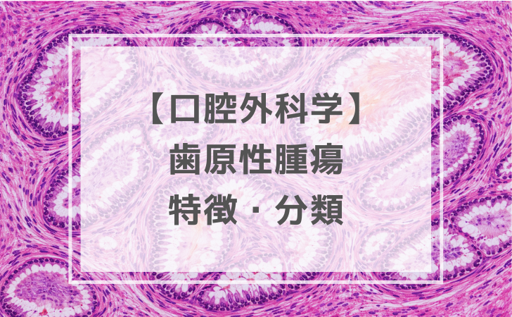 口腔外科学：歯原性腫瘍の特徴・分類（計7問）【歯科医師国家試験