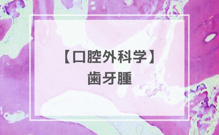 DES des Des 口腔外科学 Part.1 & Part.2 口外　118 DES des Des 口腔外科学 Part.1 & Part.2 口外 118 【公式通販】