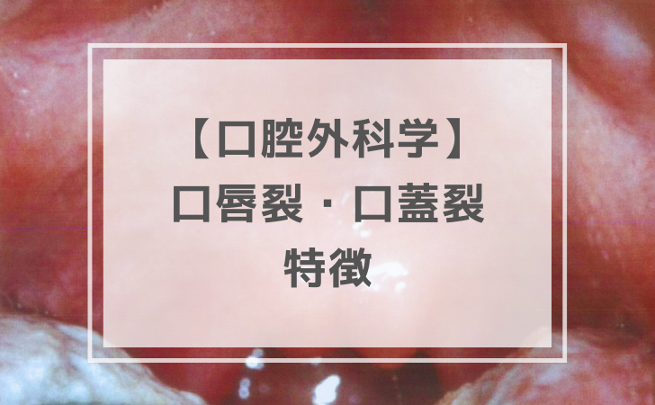 口腔外科学：口唇裂・口蓋裂の特徴（計10問）【歯科医師国家試験