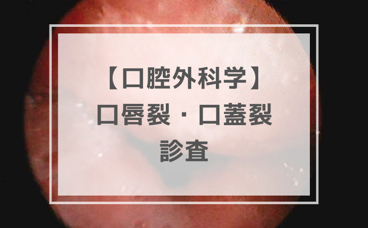 口腔外科学 口腔外科学：口唇裂・口蓋裂の診査（計4問）【歯科医師国家試験