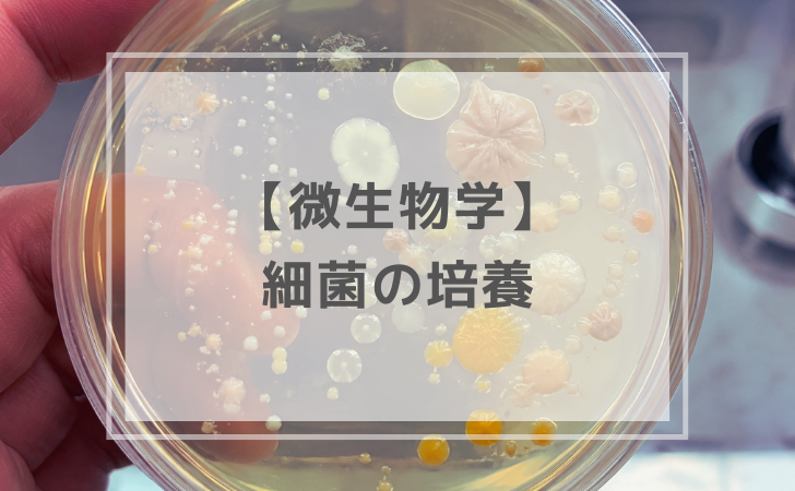 【中古】【 微生物図鑑 】 培養・同定と汚染制御 Vol.1 真菌 微生物の取り扱いと微生物管理に関わる試験法 | 技術書籍のことならR&D